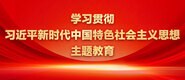 免费看逼逼学习贯彻习近平新时代中国特色社会主义思想主题教育_fororder_ad-371X160(2)